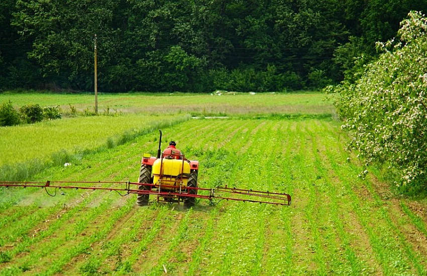 Ekologia w uprawach - zagrożenia wynikające z nadmiernego stosowania chemii.